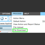 Costpoint Extensibility CSV from UI. Deltek Enterprise Cloud CP711