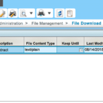 Costpoint Extensibility CSV from UI. Deltek Enterprise Cloud CP711