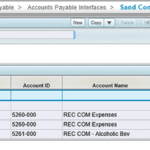 Costpoint Extensibility Study: Application/Module Design for Wildcard Assignments & Integration File